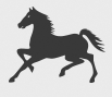 Logo Cavalinho